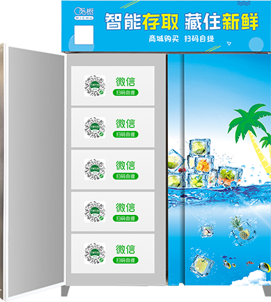 冷凍生鮮無人自提柜機(jī)子整機(jī)圖片